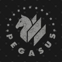 Pegasus project