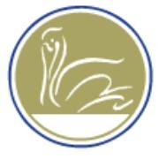Pelican technology partners