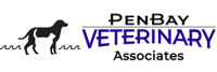 Penbay veterinary associates