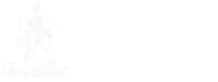 Piedmont christian academy