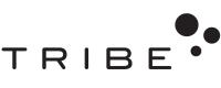 The Trube Group