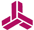 Raleigh consulting group
