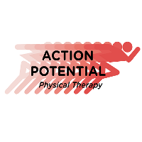 Action potential - one on one physical therapy