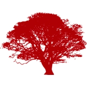 Red oak management