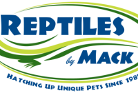 Reptiles by mack