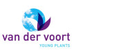 Van de vort