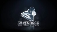 Silverback video llc