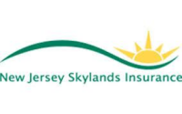 Skylands insurance group