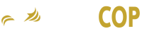 Smart public safety software