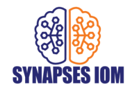 Synapses iom llc