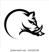The boar