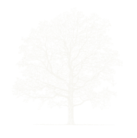 The brenton arboretum