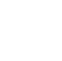 The newbury boston