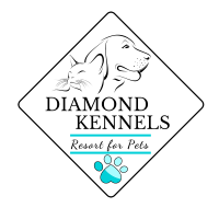 Tlc pet hospital
