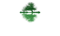 The living hospice of tx inc.