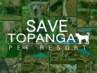 Topanga pet resort