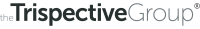 The trispective group