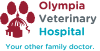 Tumwater veterinary hospital