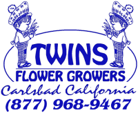 Twins flower growers