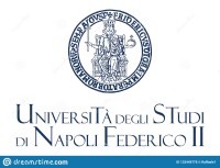 Second university of naples