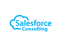 Sales force consulting