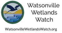 Watsonville wetlands watch