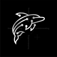 Dolphin tech llc