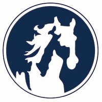 White horse auto wash