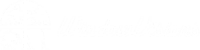Window visions inc