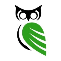 Wise digital partners