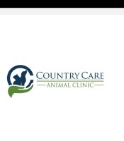Washington square veterinary clinic