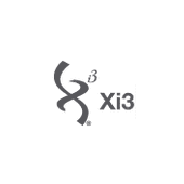 Xi3