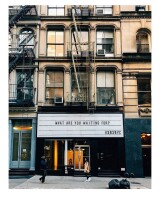 393 nyc