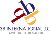 3b  three-b international limited