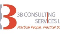 3b consulting services, llc