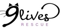 9 lives cat rescue