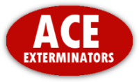 Ace exterminators