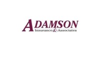 Adamson insurance & associates