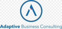 Adaptive sp consulting