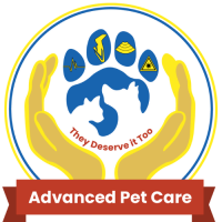 Advanced care animal clinic