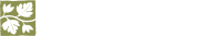 Tile Showcase