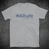 Allsafe security