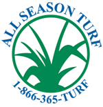 All seasons turf grass