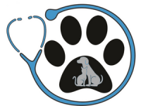 Destin animal clinic