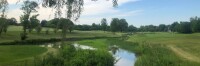 The arboretum club