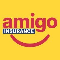 Amigo international insurance