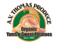 Av thomas produce yams & sweet potatoes
