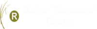 Baber research group