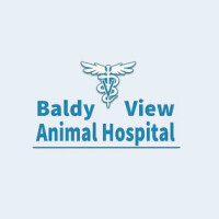 Baldy view animal hospital