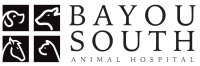 Bayou south animal hospital